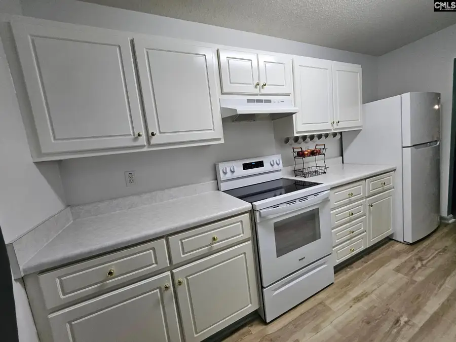217 Twin Eagles Drive, Columbia, SC 29203 - #3
