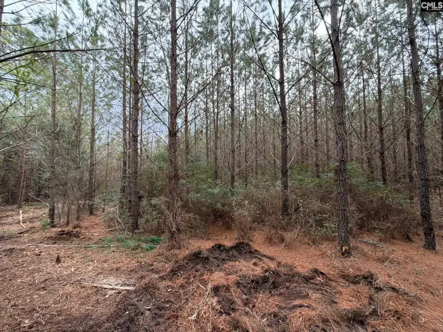 BFF II 2 Jc Barefoot Road #BFF II 2, Patrick, SC 29854 - #2