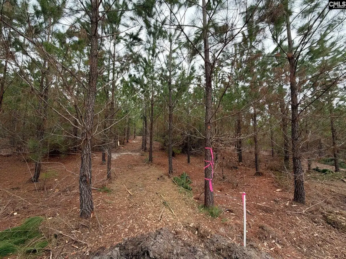 BFF II 4 Jc Barefoot Road #BFF II 4, Patrick, SC 29854 - #1