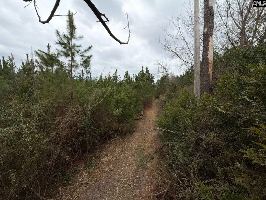BFF II 4 Jc Barefoot Road #BFF II 4, Patrick, SC 29854 - #2