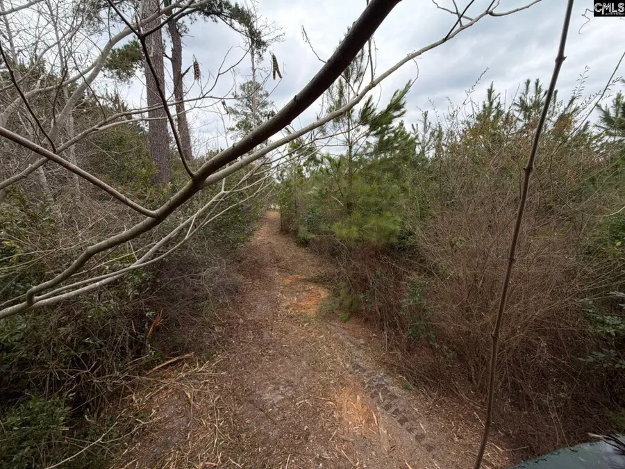 BFF II 4 Jc Barefoot Road #BFF II 4, Patrick, SC 29854 - #3