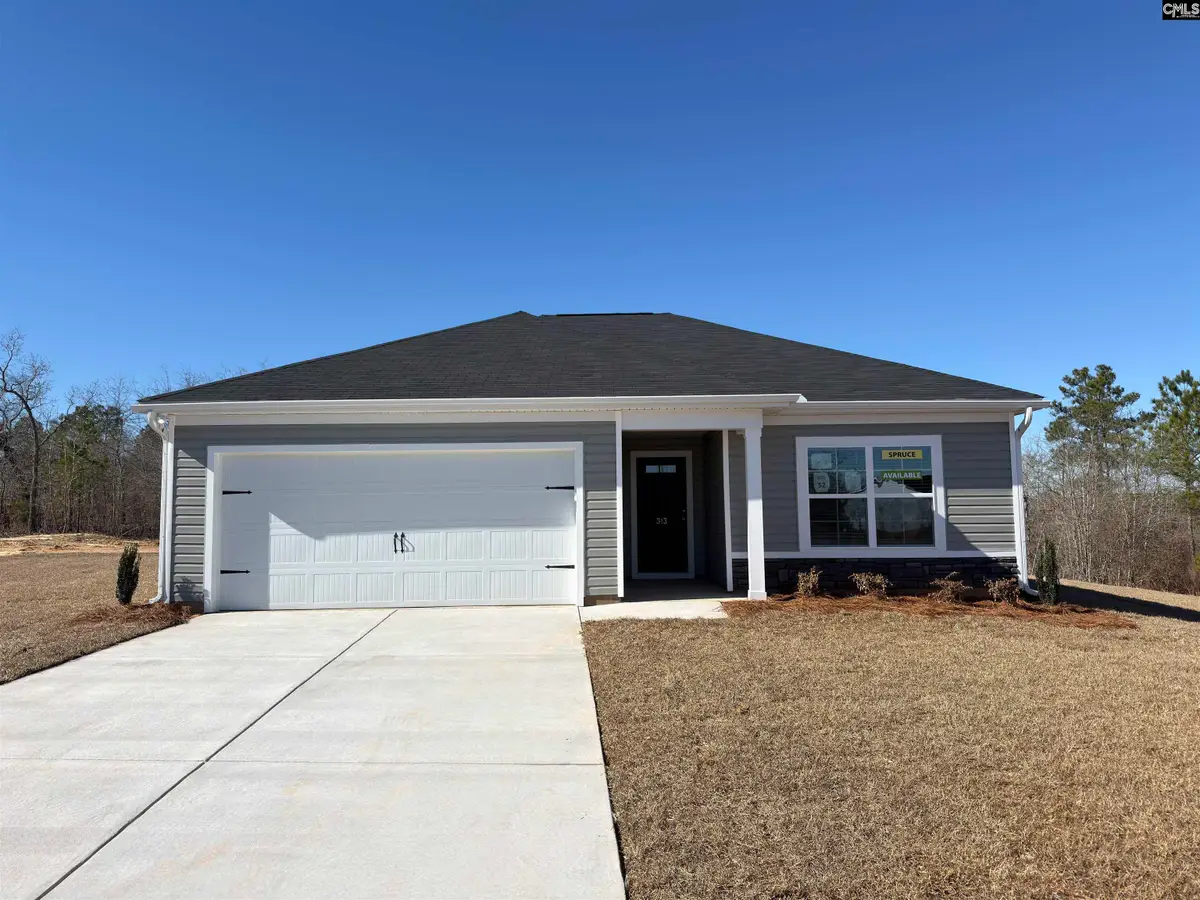 313 Star Capital Way, Pelion, SC 29123 - #1