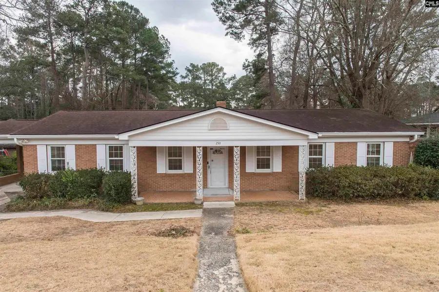 250 Chartwell Road, Columbia, SC 29210 - #2