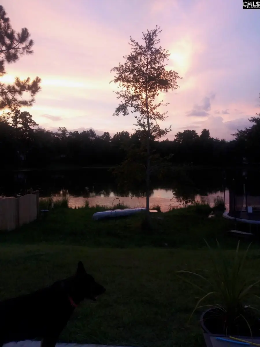 405 Magnolia Tree Road, Lexington, SC 29073 - #2