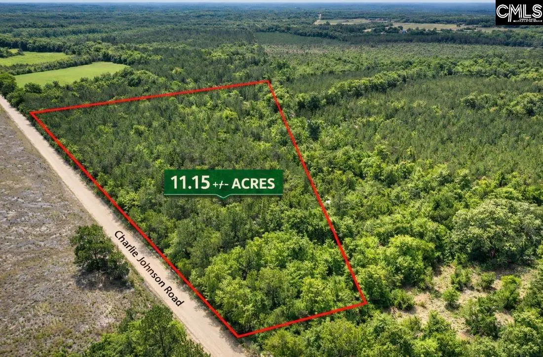 Lot 4 Charlie Johnson Road, Bethune, SC 29009 - #1