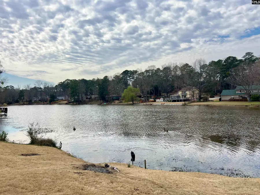 359 Hunters Blind Drive, Columbia, SC 29212 - #3