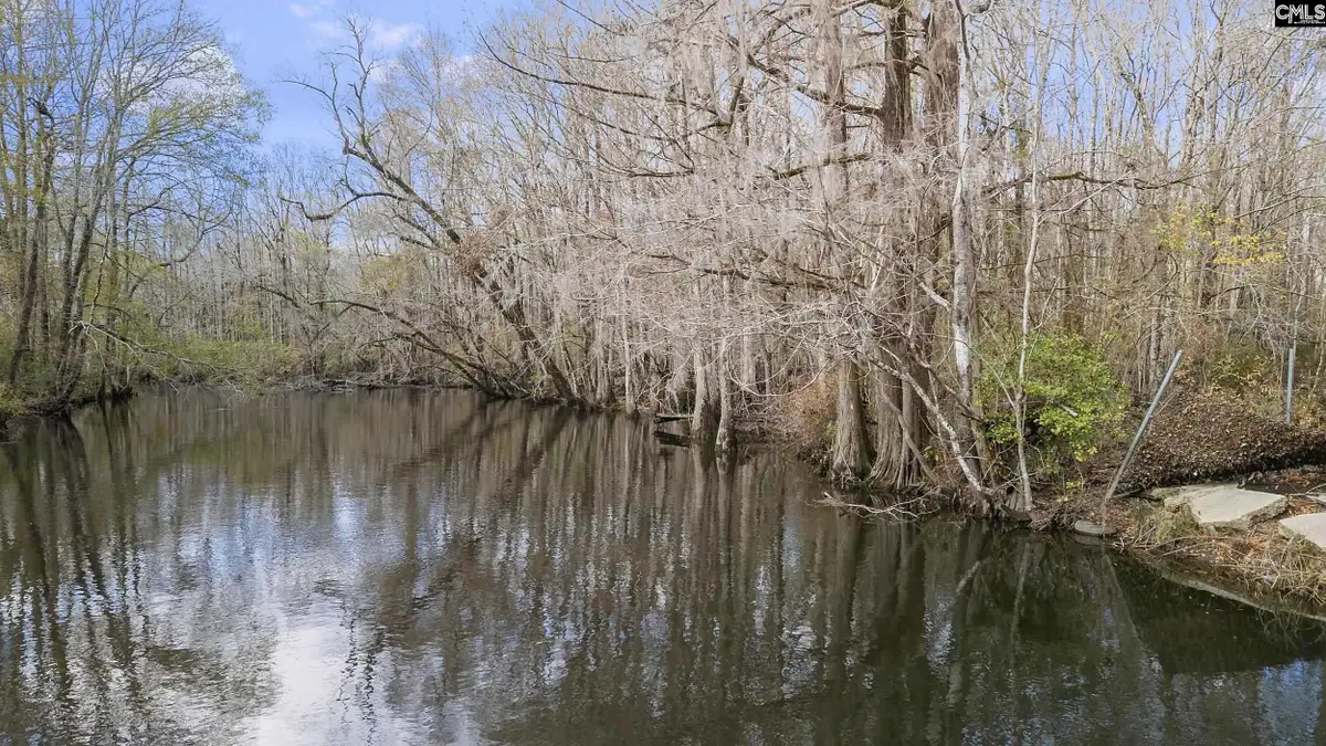 776 Shillings Bridge Road, Orangeburg, SC 29115 - #1