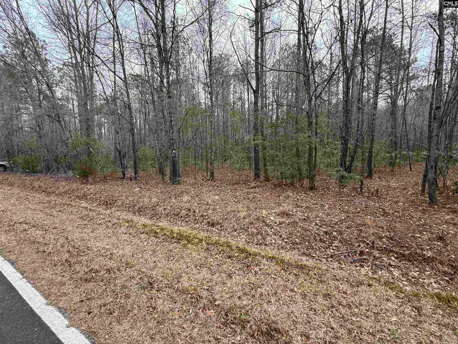 1644 Pincushion Road, Columbia, SC 29209 - #2