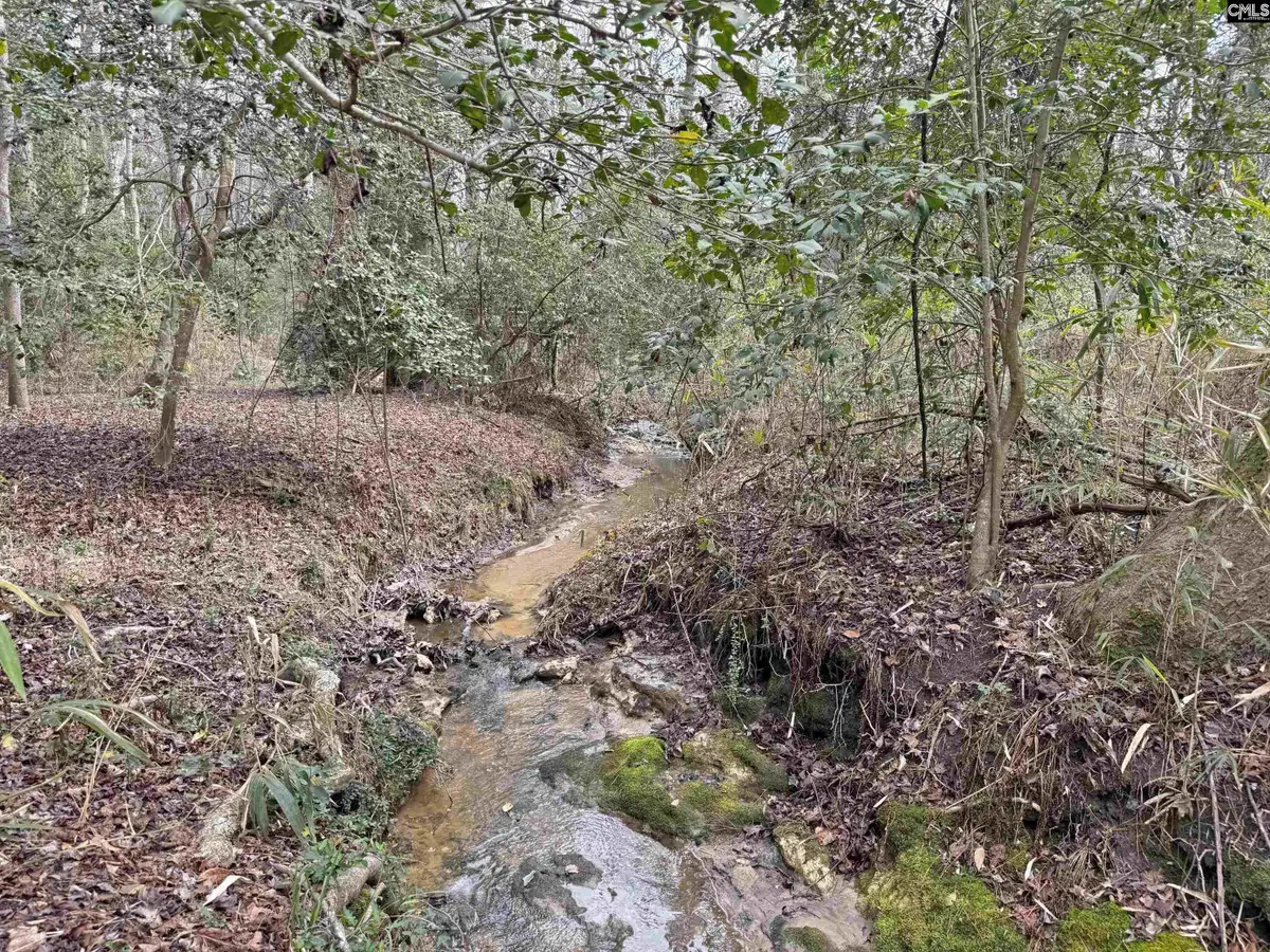 0 Tall Timber Drive, Leesville, SC 29070 - #1