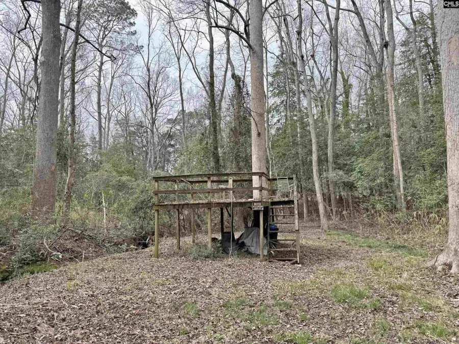 0 Tall Timber Drive, Leesville, SC 29070 - #2