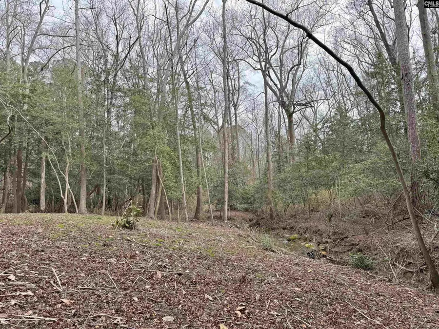 0 Tall Timber Drive, Leesville, SC 29070 - #3