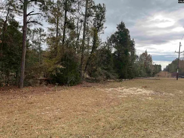 TBD Parkwood Avenue, North, SC 29112