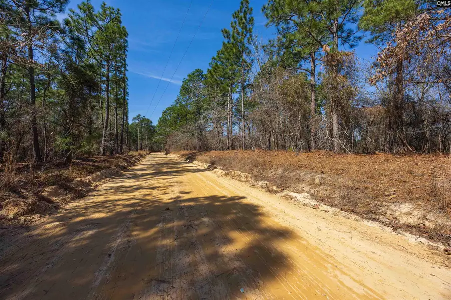 0 Rimrock Road, Leesville, SC 29070 - #3