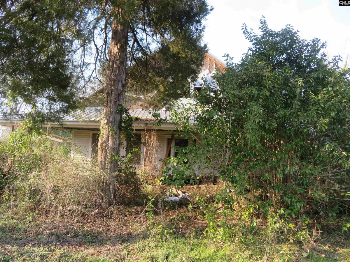 1350 4 Holes Road, Orangeburg, SC 29115 - #1