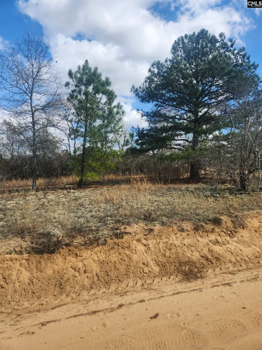 North Fork Road, Monetta, SC 29006 - #3