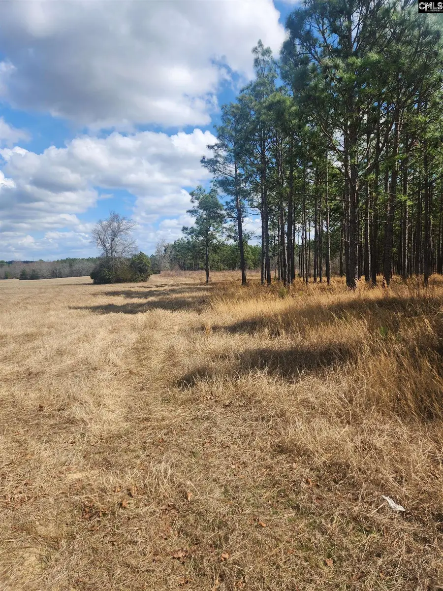 North Fork Road, Monetta, SC 29006 - #2