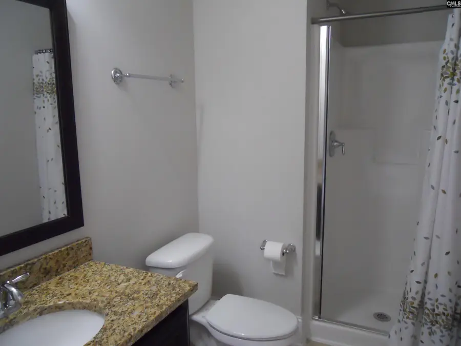 238 Bronze Bluff Court, Lexington, SC 29073 - #3