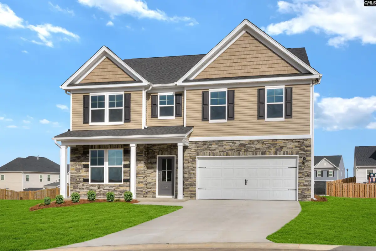 377 Chapin Place Way, Chapin, SC 29036 - #1