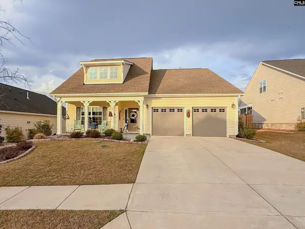 820 Dutchmaster Drive, Chapin, SC 29036