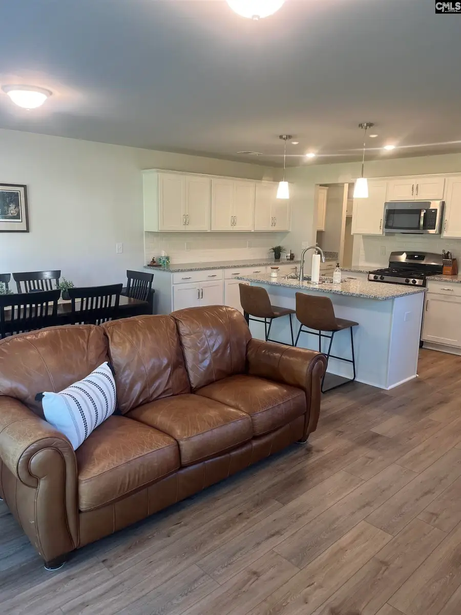 208 Flatsedge Court, Lexington, SC 29072 - #3