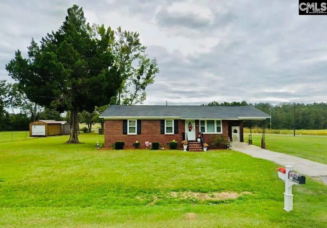 111 Angel Road, Hemingway, SC 29554 - #1