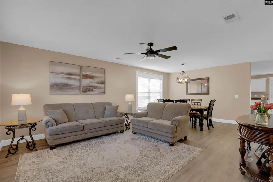 308 Turkey Beard Court, Chapin, SC 29036 - #3