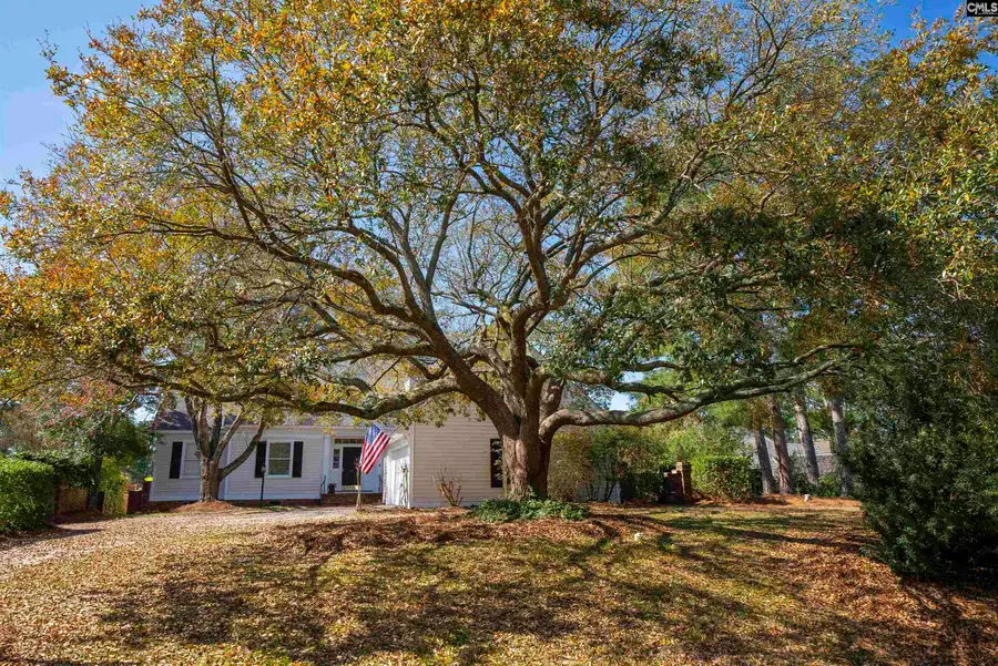 58 Mallet Hill Court, Columbia, SC 29223 - #2