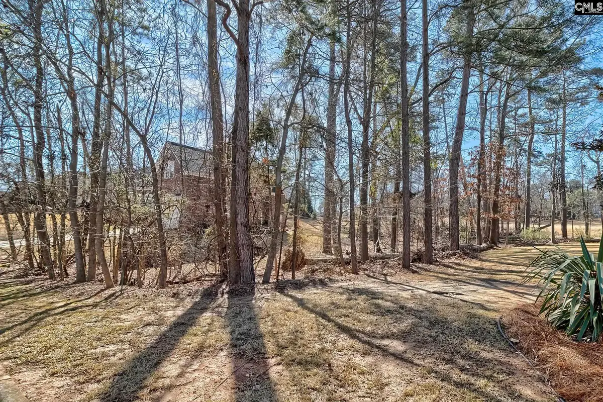 429 Oxenbridge Way, Chapin, SC 29036 - #1