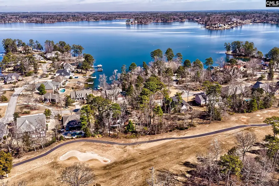 429 Oxenbridge Way, Chapin, SC 29036 - #2