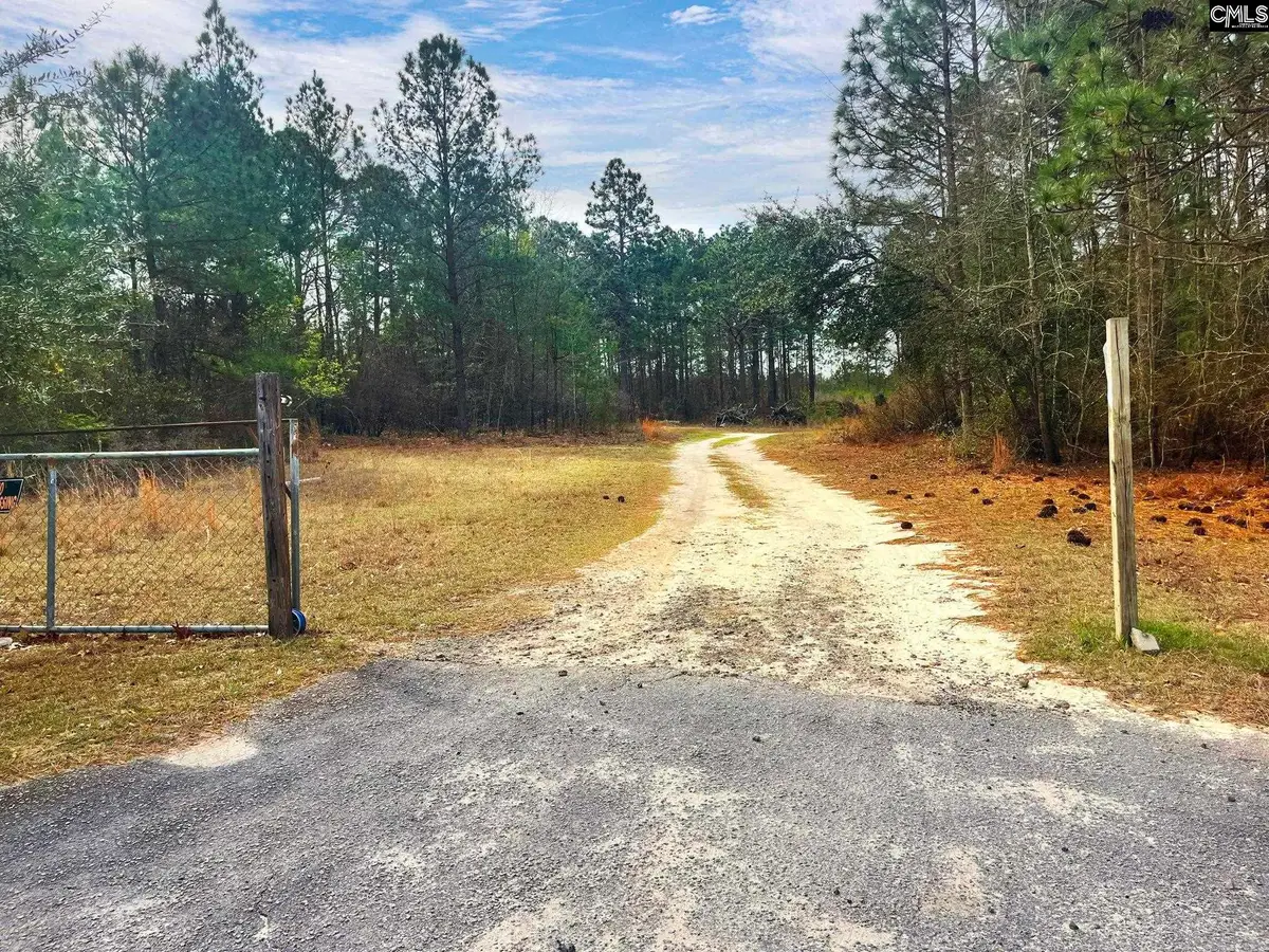 219 & 223 Donald Drive, Lexington, SC 29073 - #1