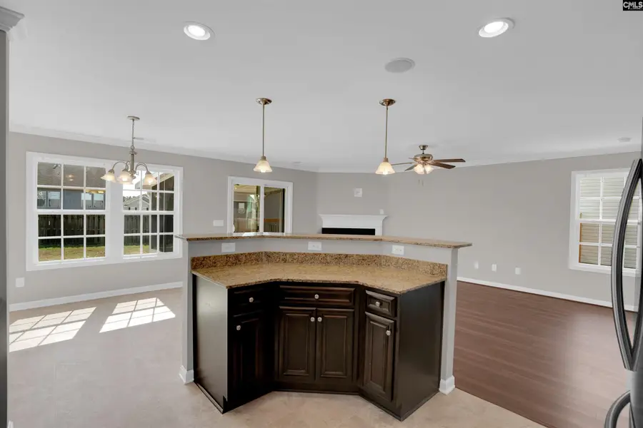 473 Walking Lane, Lexington, SC 29073 - #3