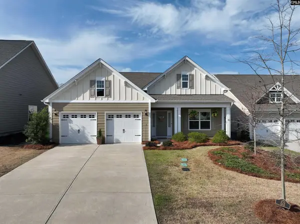 53 Starry Night Court, Chapin, SC 29036