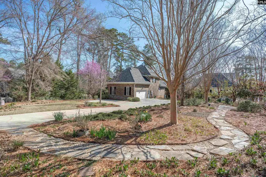 1081 Point View Road, Chapin, SC 29036 - #2