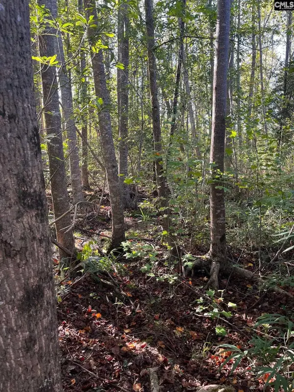 PPF 18 Payne Pond Road #PPF 18, Westville, SC 29175