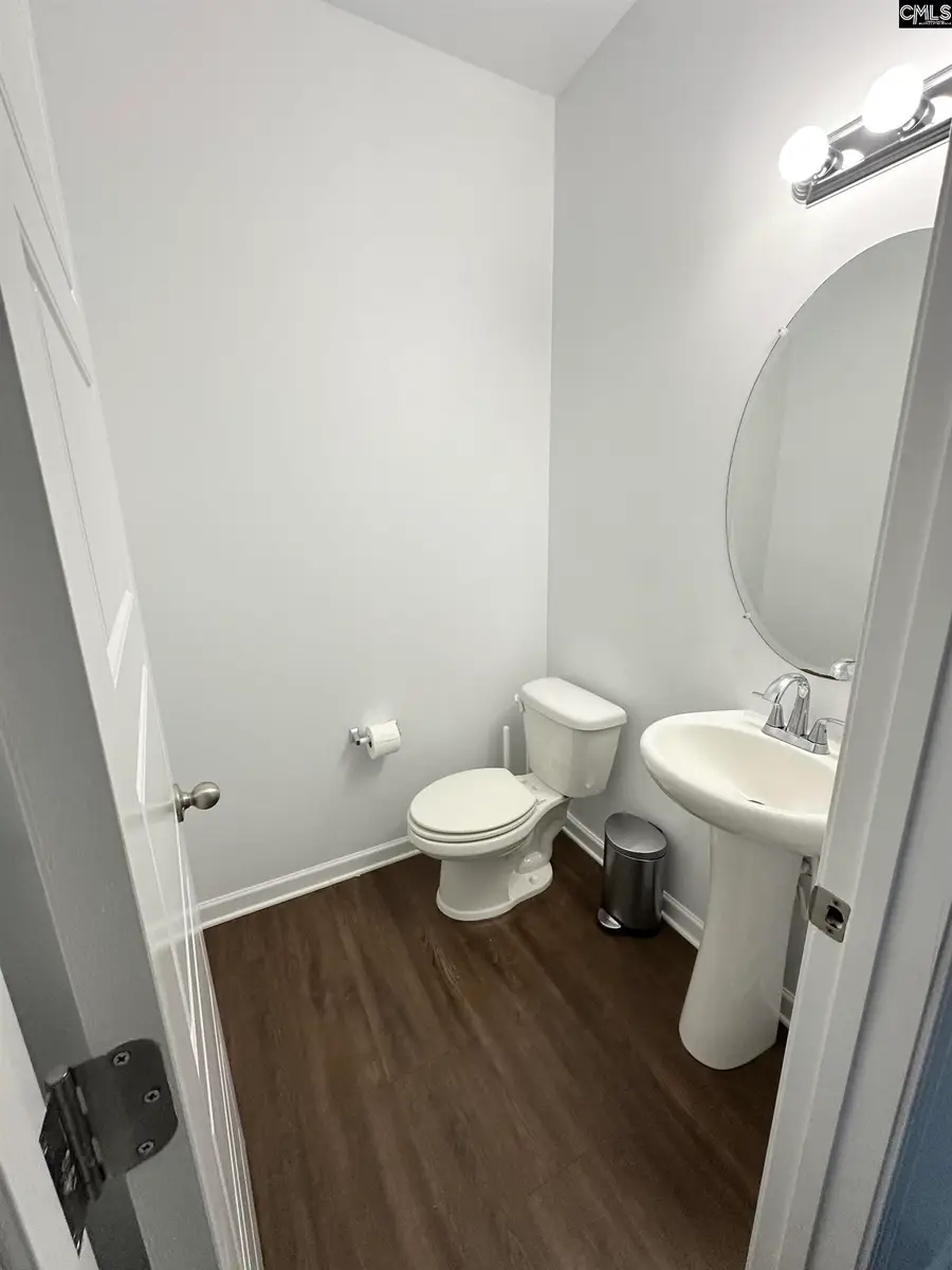 240 Bickley View Court, Chapin, SC 29036 - #3