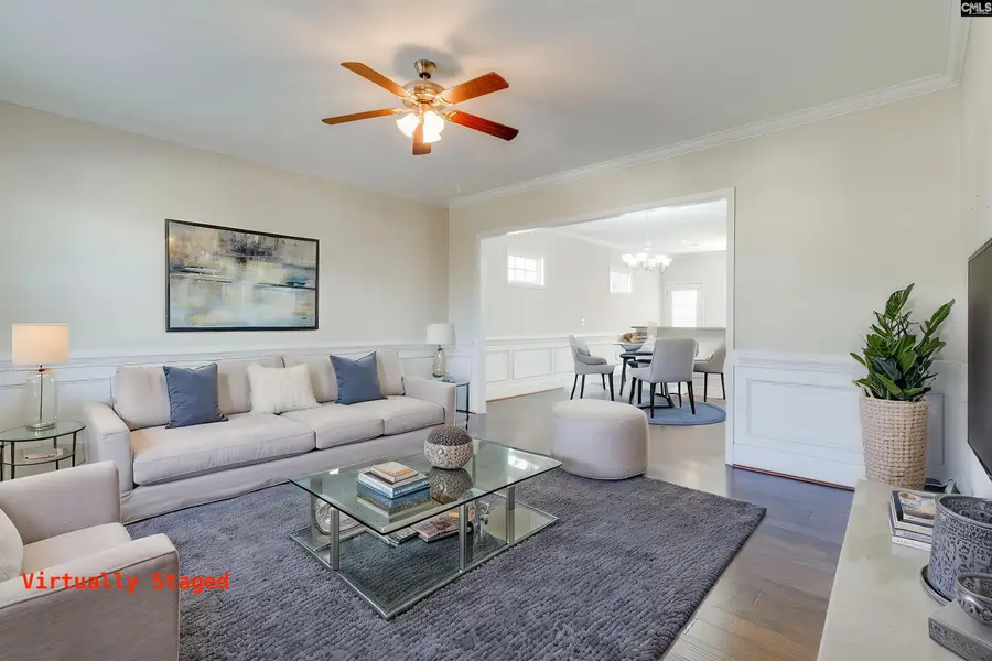 141 Palm Street, Chapin, SC 29036 - #3