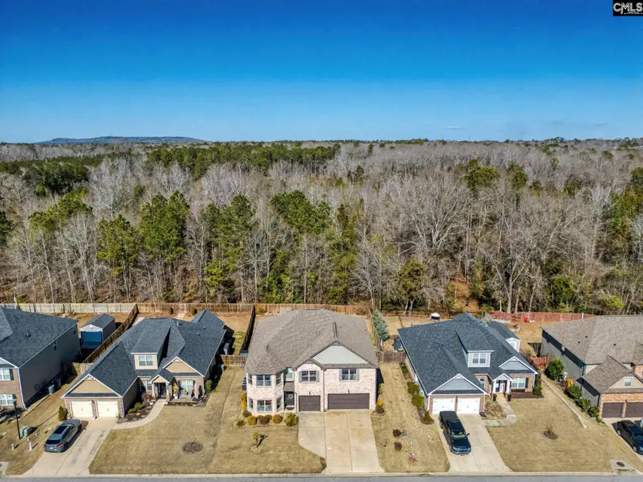303 Lever Bottom Court, Chapin, SC 29036 - #3