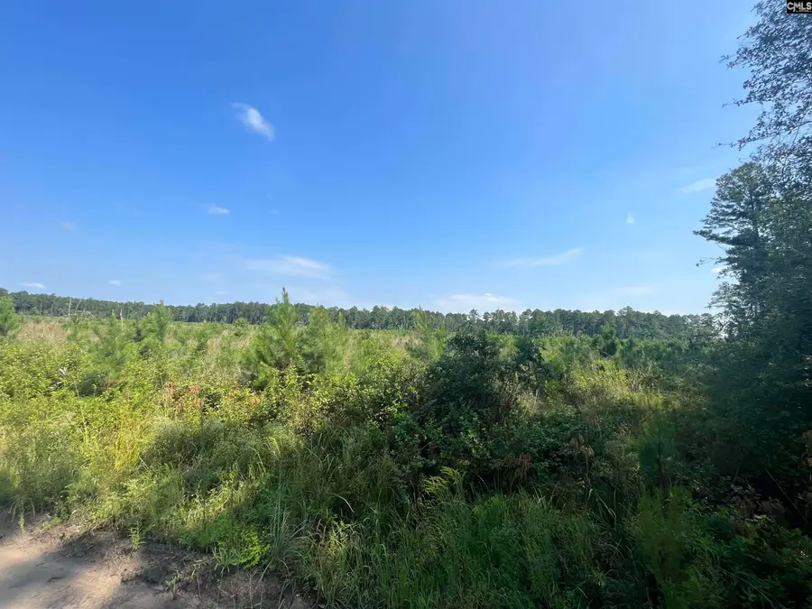 Mahogany Lane, Orangeburg, SC 29115 - #2