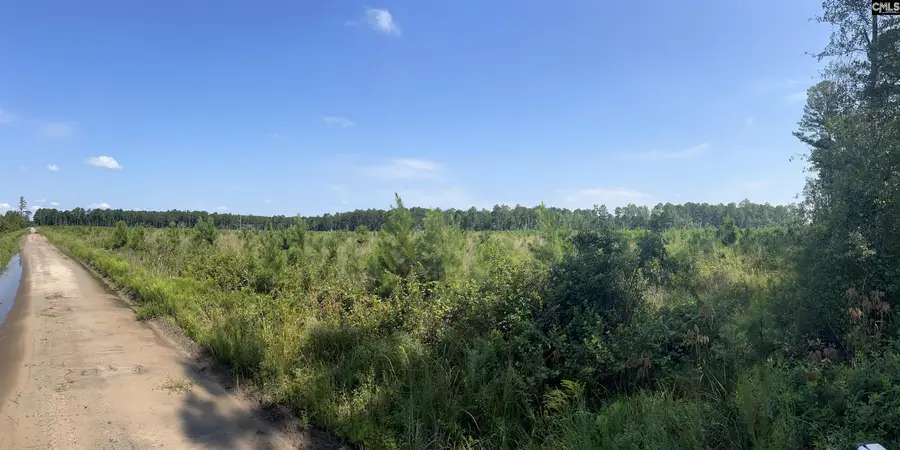 Mahogany Lane, Orangeburg, SC 29115 - #3