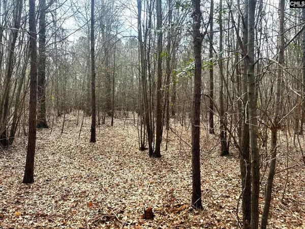 1832 St Peters Church Road, Little Mountain, SC 29075