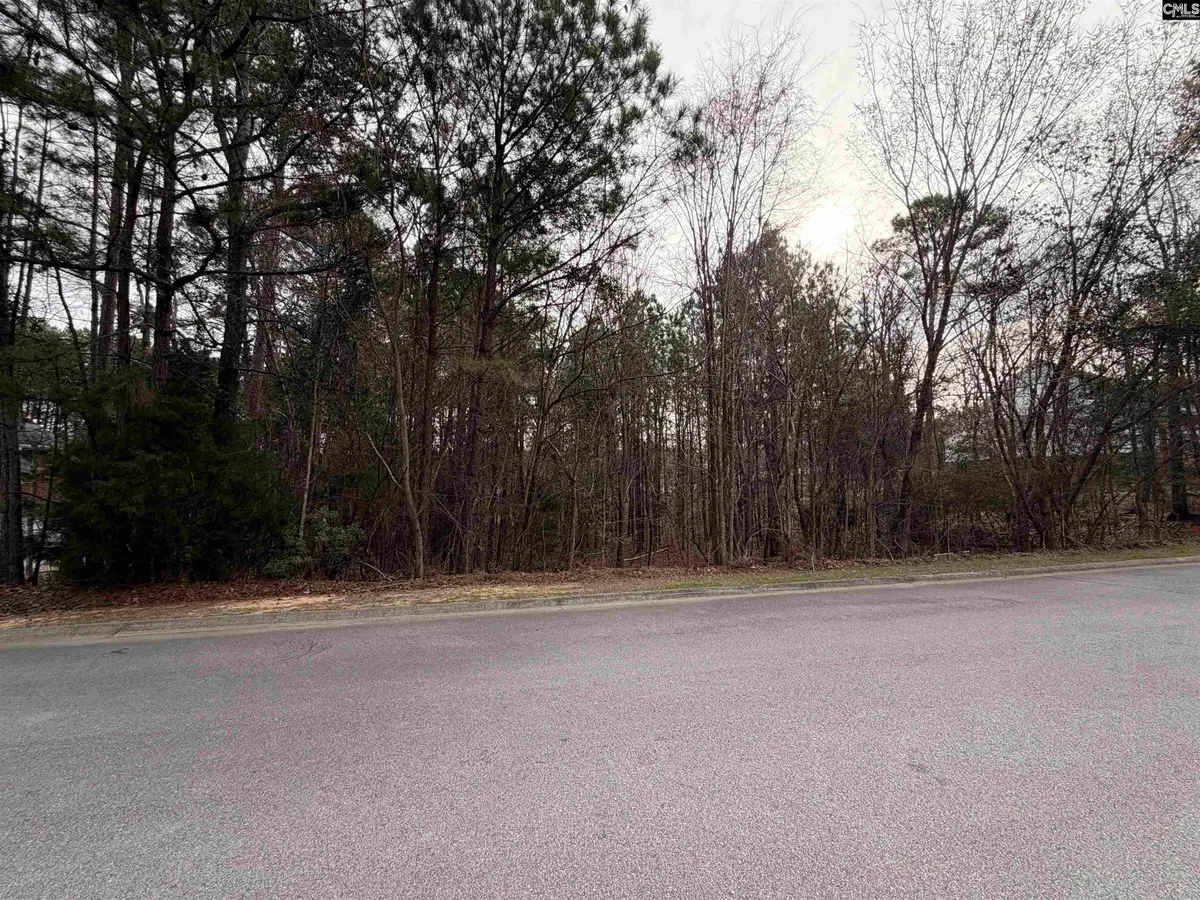 1334 Camping Road, Gilbert, SC 29054 - #1