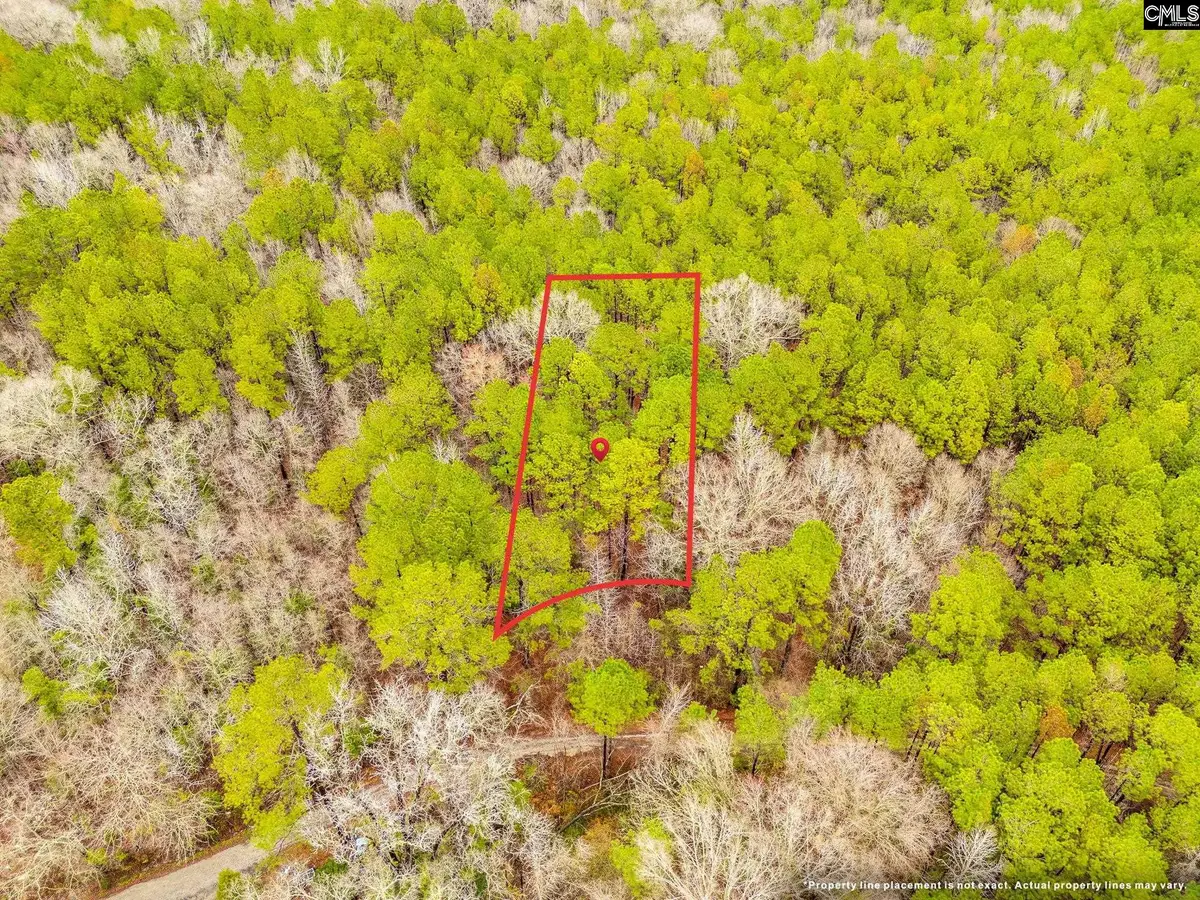 1152 Pineland Drive, Columbia, SC 29203 - #1