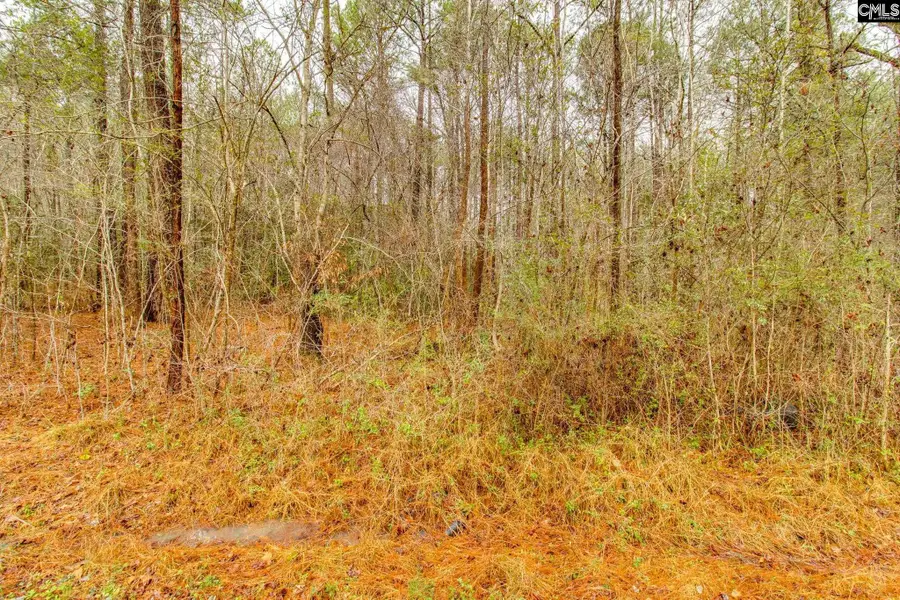 1152 Pineland Drive, Columbia, SC 29203 - #2