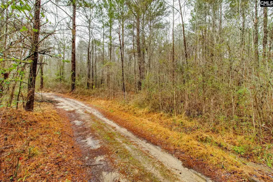 1152 Pineland Drive, Columbia, SC 29203 - #3