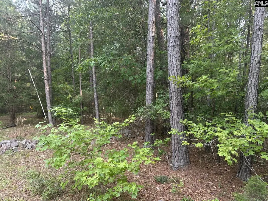 320 Dewdrop Drive, Ridgeway, SC 29130 - #2