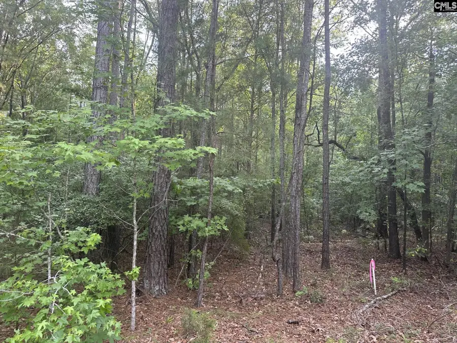 320 Dewdrop Drive, Ridgeway, SC 29130 - #3