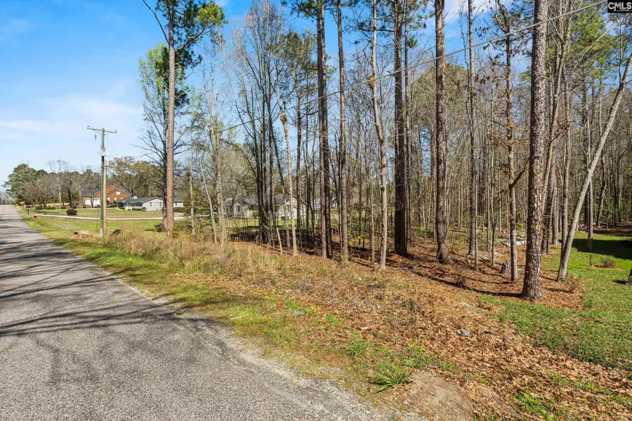 137 Shumpert Road, West Columbia, SC 29172 - #2