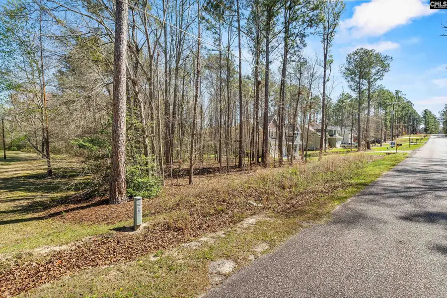 137 Shumpert Road, West Columbia, SC 29172 - #3