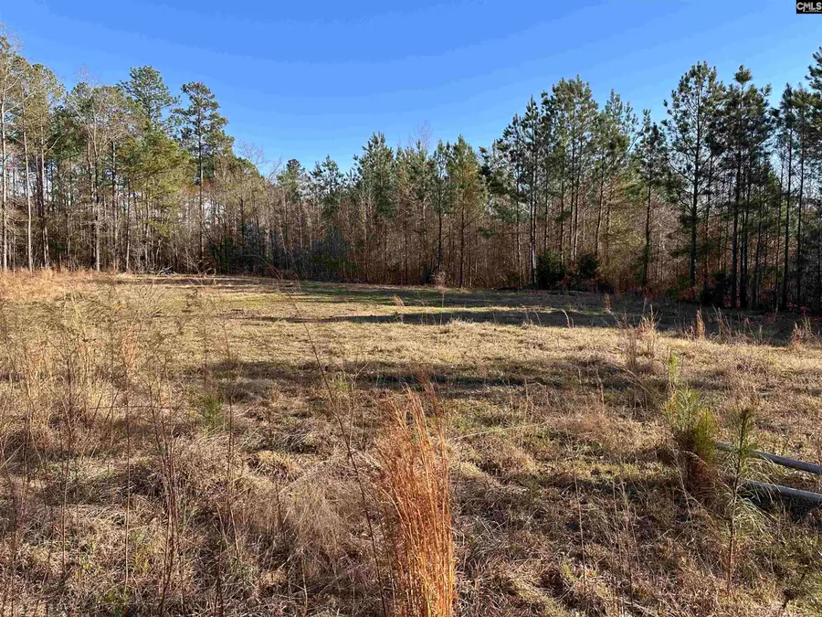 495 Shivers Green Road, Ridgeway, SC 29130 - #2