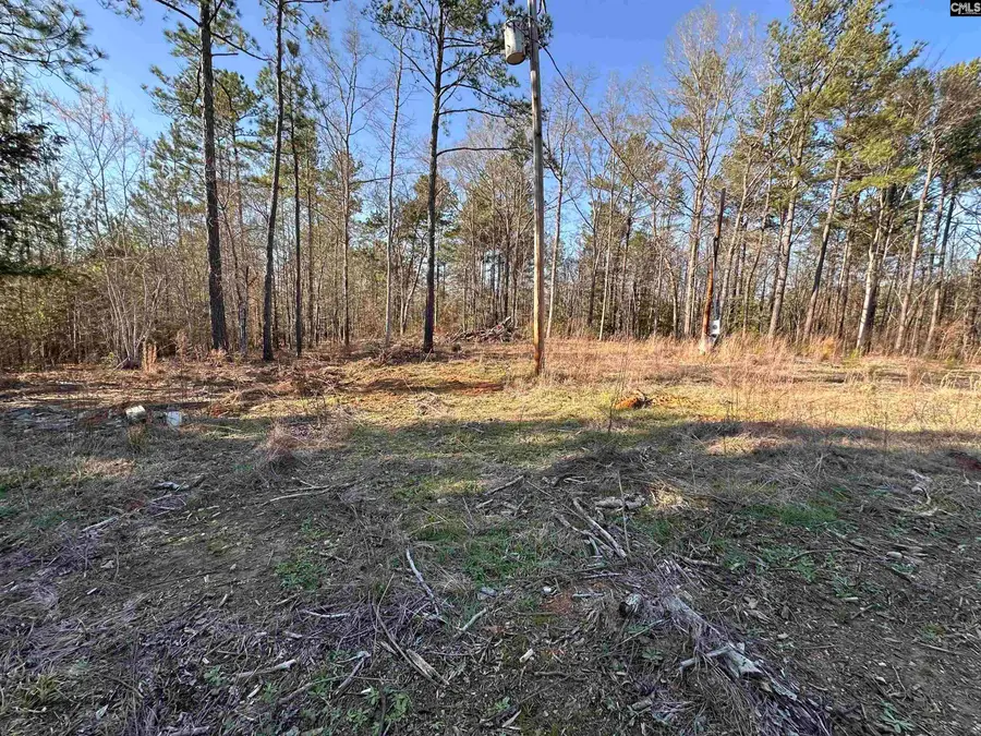 495 Shivers Green Road, Ridgeway, SC 29130 - #3